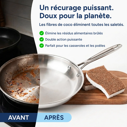 LINOVA EcoÉponge™ (4 pcs)
